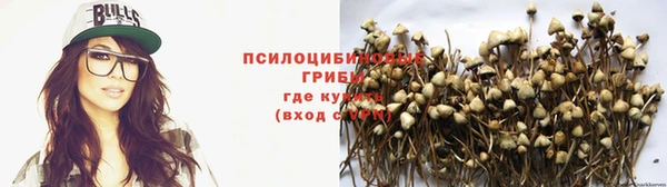 гашишное масло Аркадак