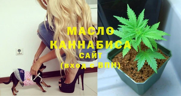 прущие грибы Армянск